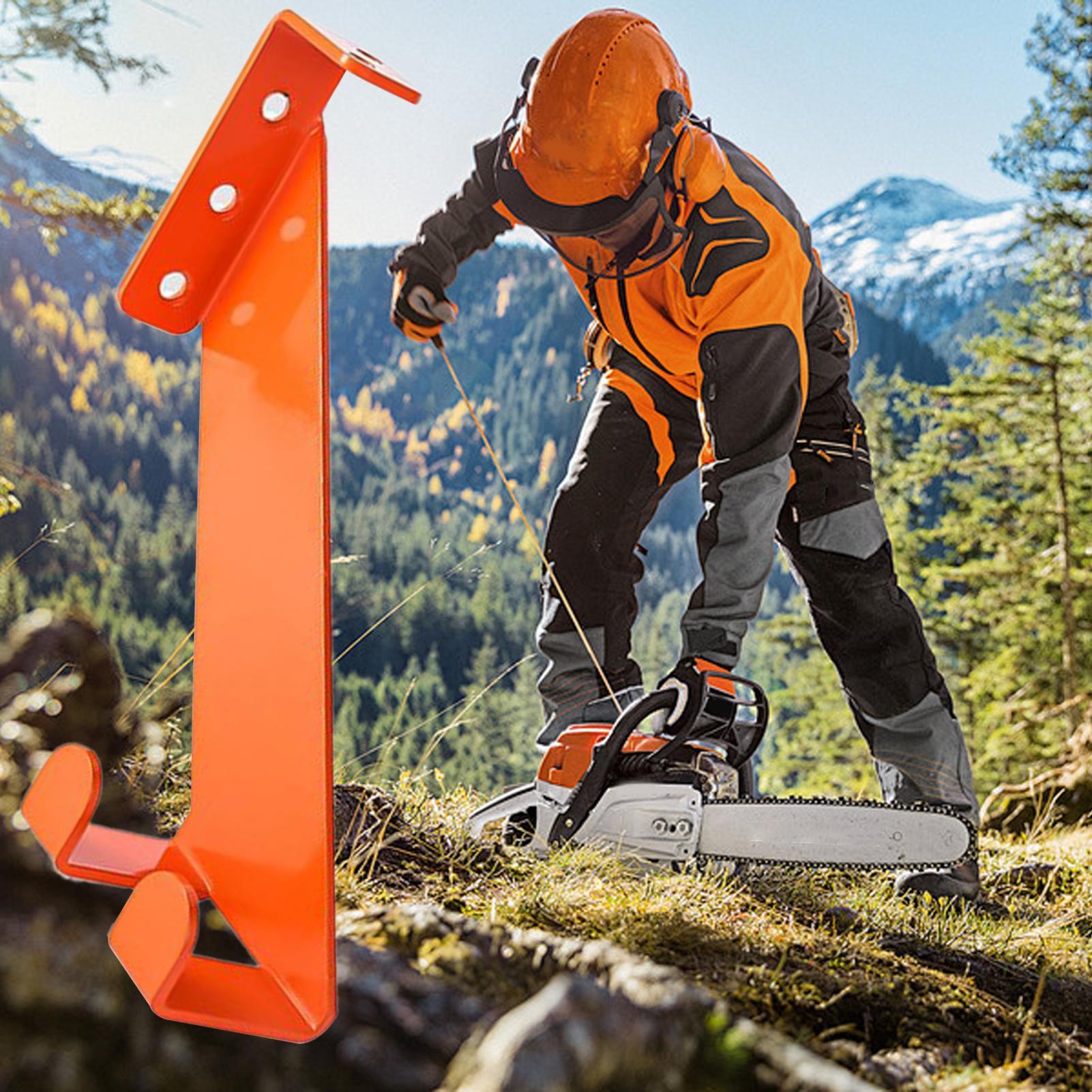 Chainsaw Wall Mount Stainless  – Workshop Tools Display Bewertung und Preis